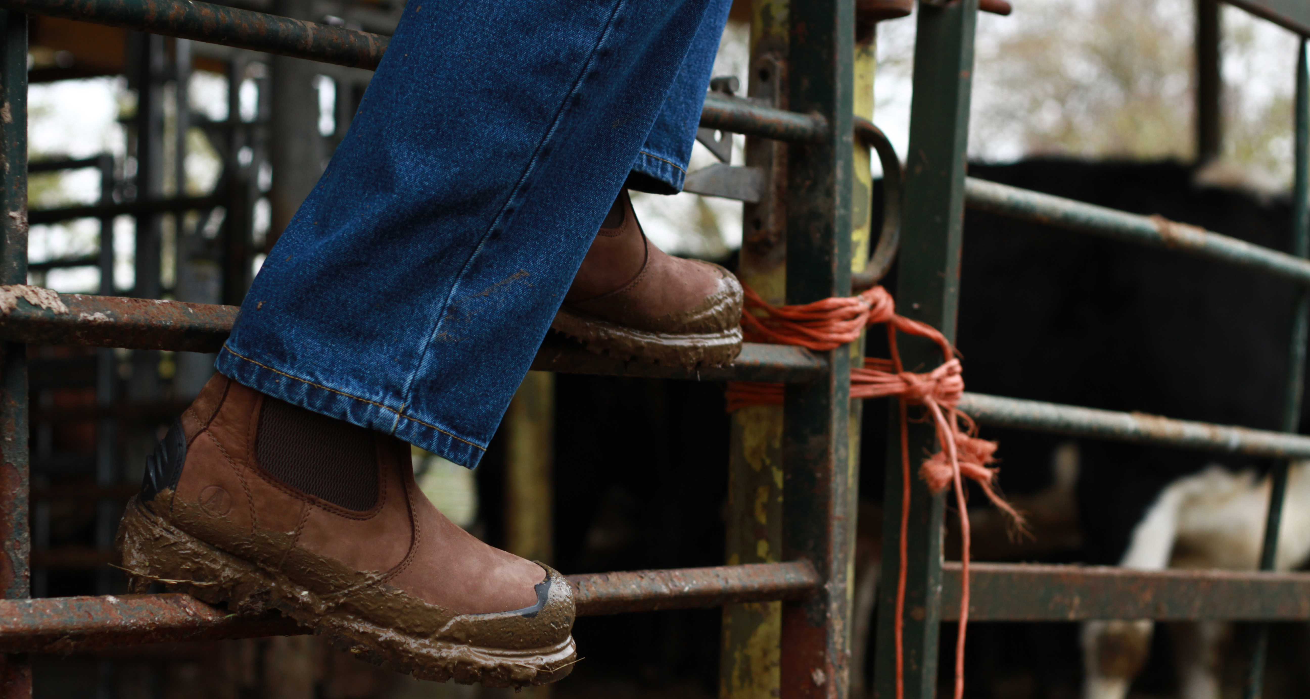 scarpe da lavoro agricoltura
